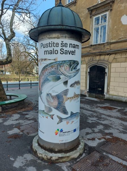 Morda je slika naslednjega: na prostem