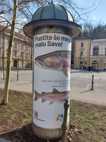 Morda je slika naslednjega: na prostem