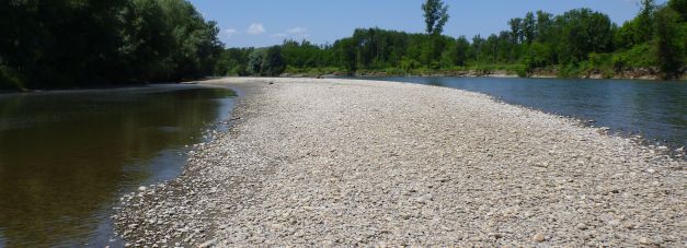 A.Koren_P102051731.jpg