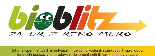 promofotka.jpg