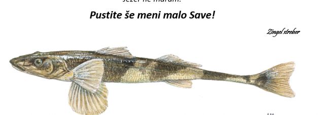 Upiravec.jpg